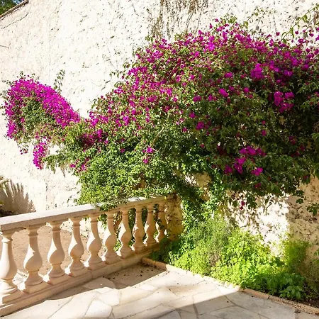 Villa Simone Cannes